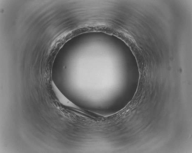 X0000075360920200609291457