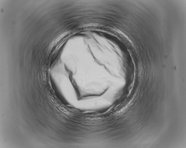 X0000075360921200609291457