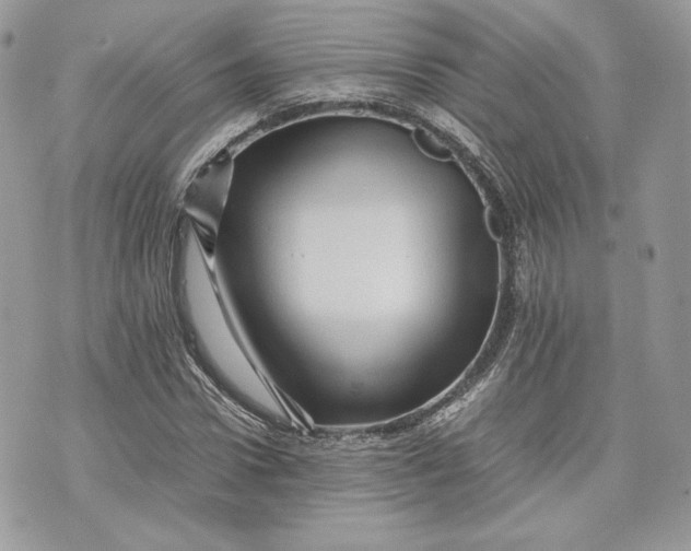 X0000075360922200609291457