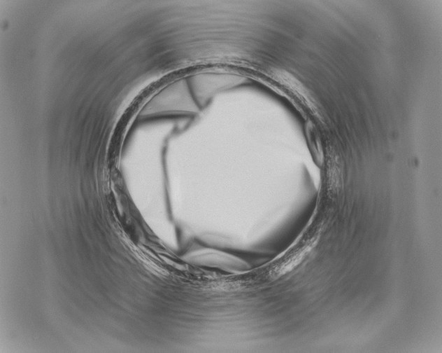 X0000075360924200609291457