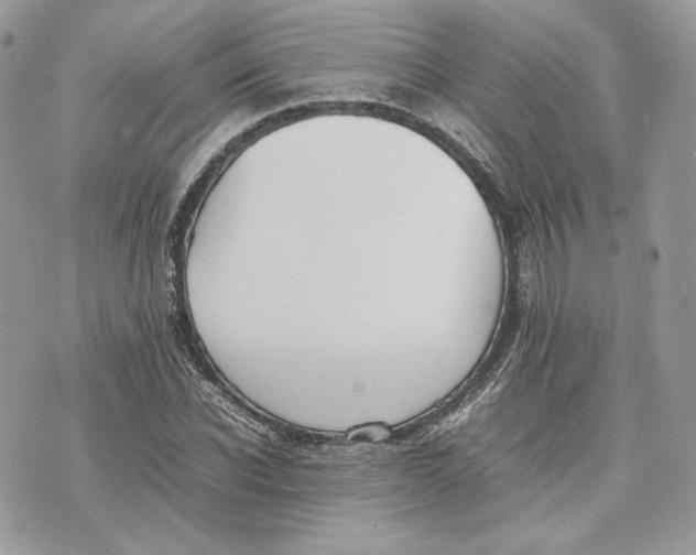 X0000075360926200609291457