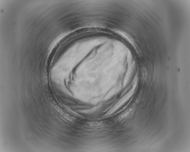 X0000075360927200609291457