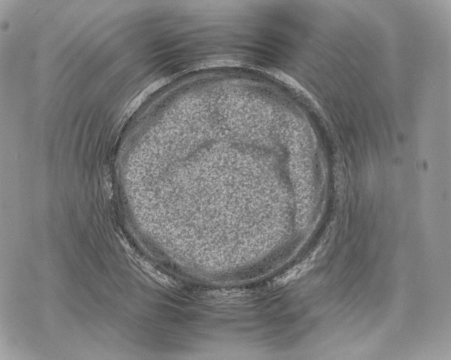 X0000075360929200609291457