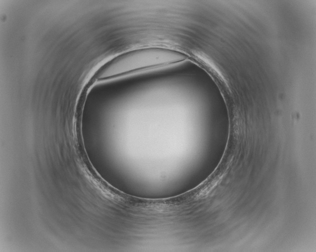 X0000075360932200609291457