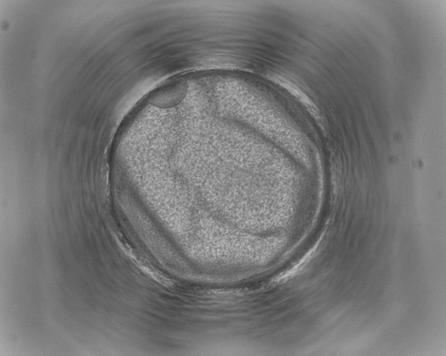 X0000075360933200609291457