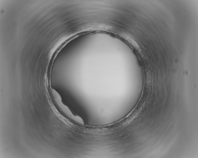 X0000075360936200609291457