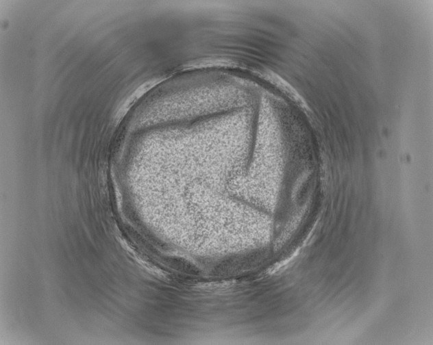 X0000075360937200609291457