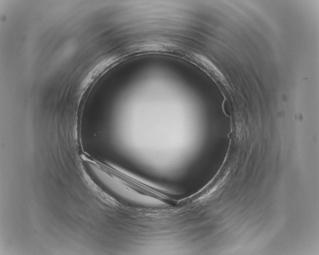 X0000075360938200609291457