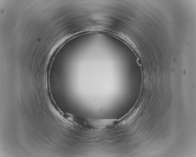 X0000075360939200609291457