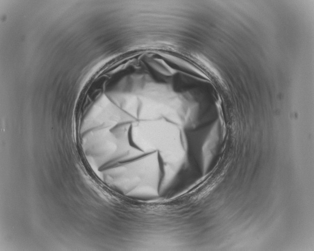 X0000075360940200609291457