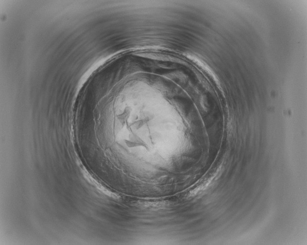 X0000075360941200609291457