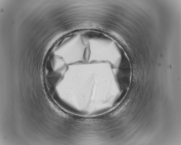 X0000075360942200609291457