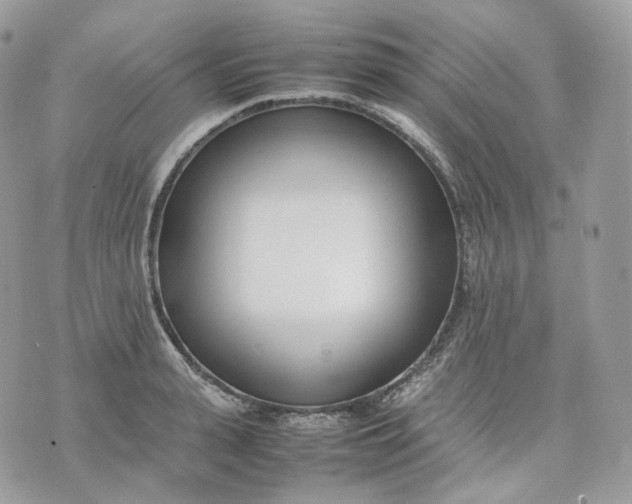 X0000075360943200609291457