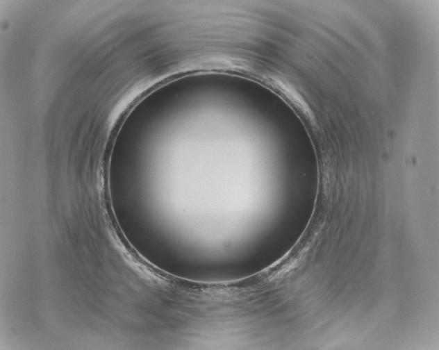 X0000075360944200609291457