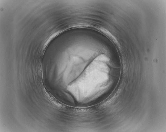 X0000075360945200609291457