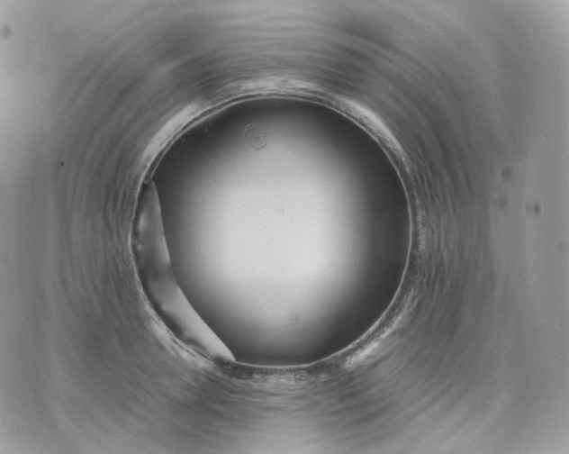 X0000075360946200609291457