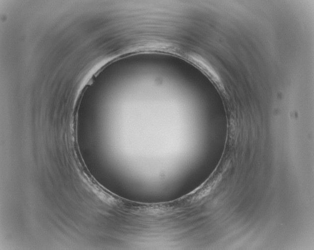 X0000075360948200609291457