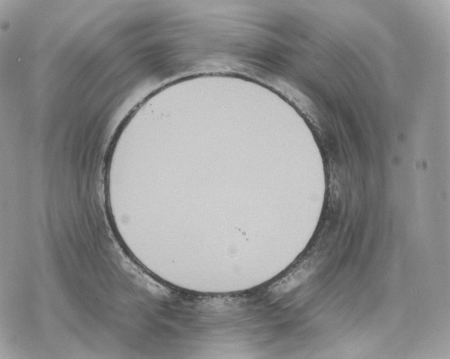 X0000075360950200609291457