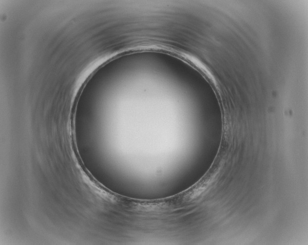 X0000075360951200609291457