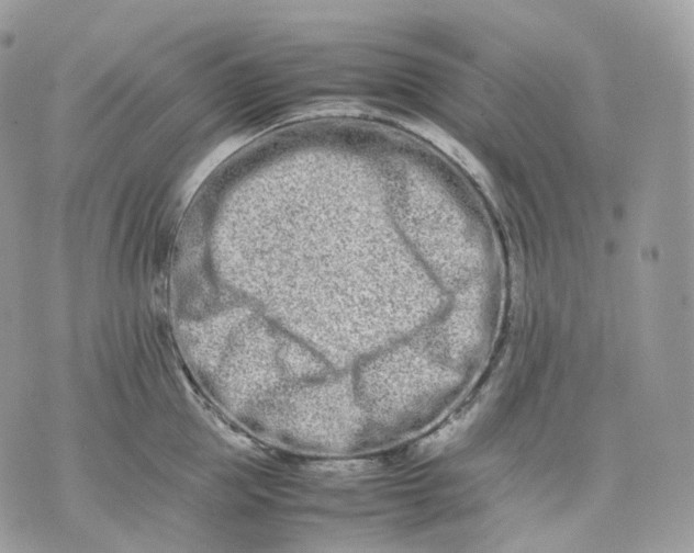 X0000075360953200609291457