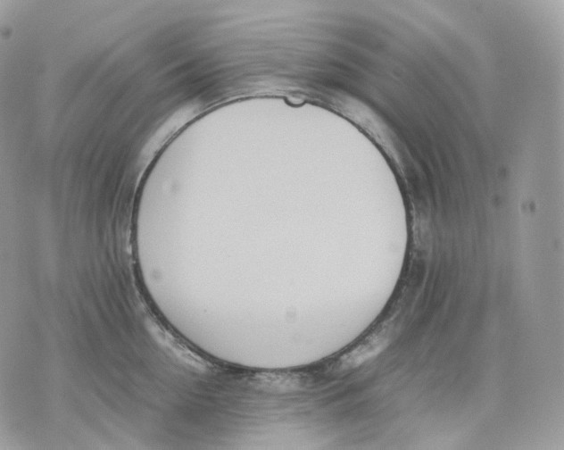 X0000075360954200609291457