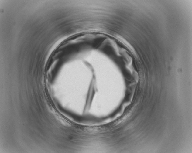 X0000075360956200609291457