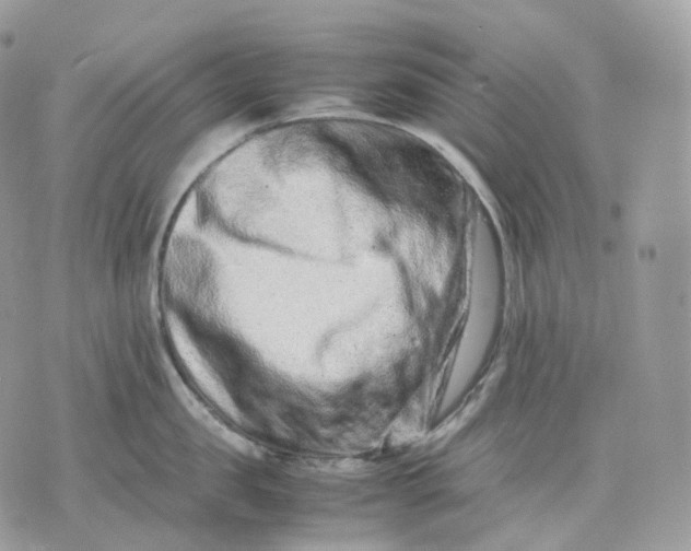 X0000075360957200609291457