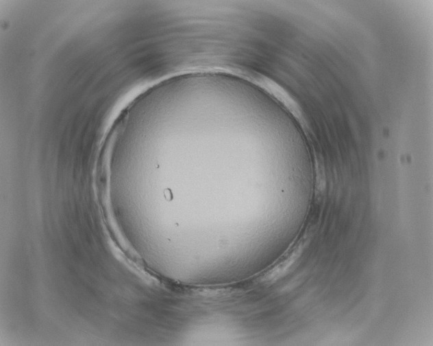 X0000075360958200609291457