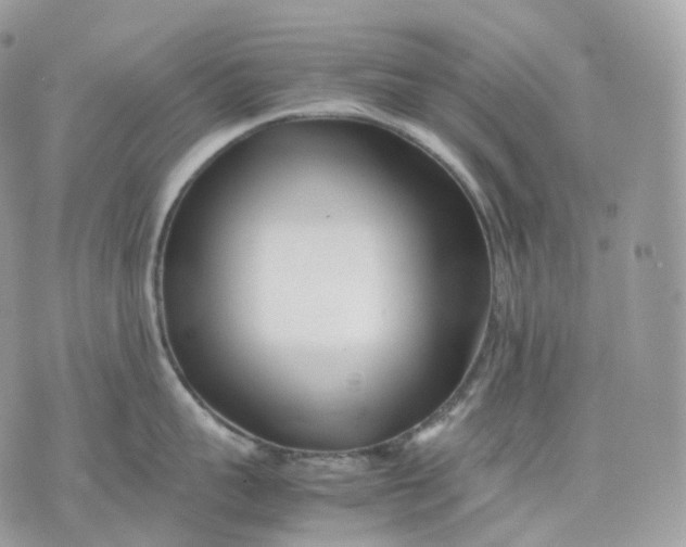 X0000075360959200609291457