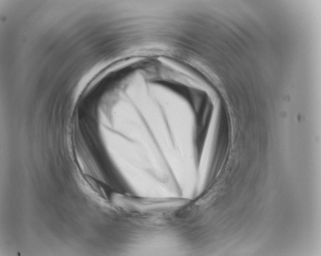 X0000075360960200609291457