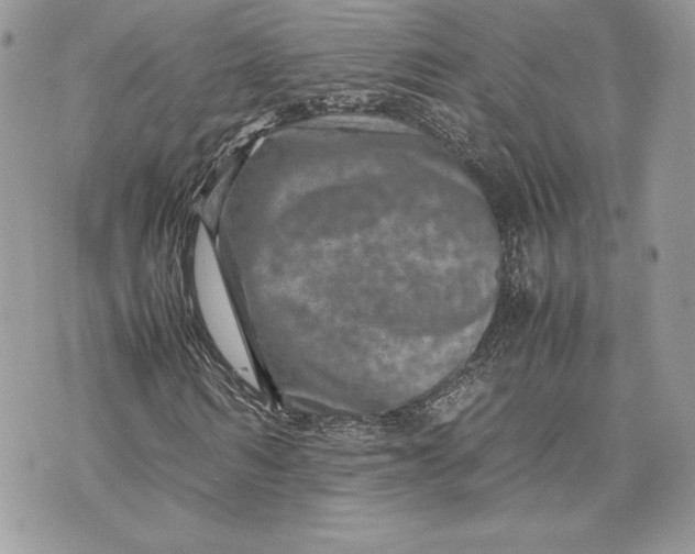 X0000075360962200609291457