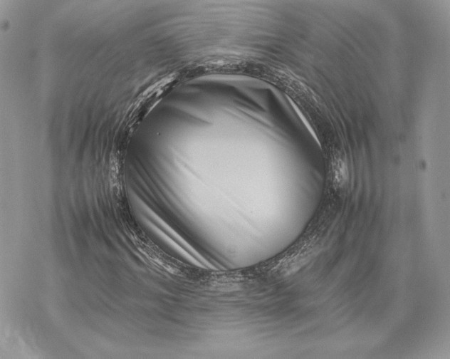 X0000075360964200609291457