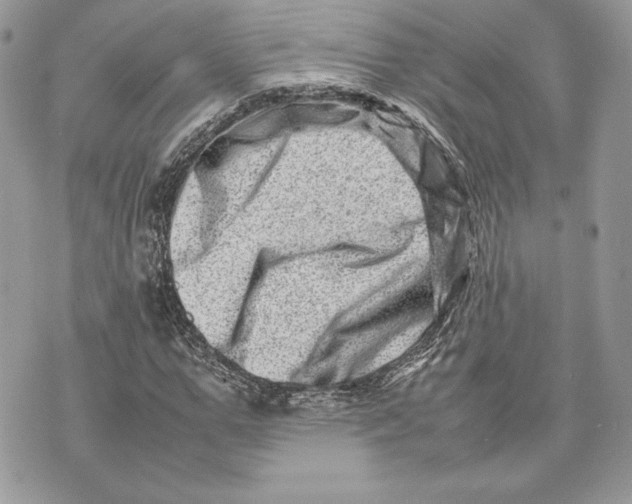 X0000075360967200609291457