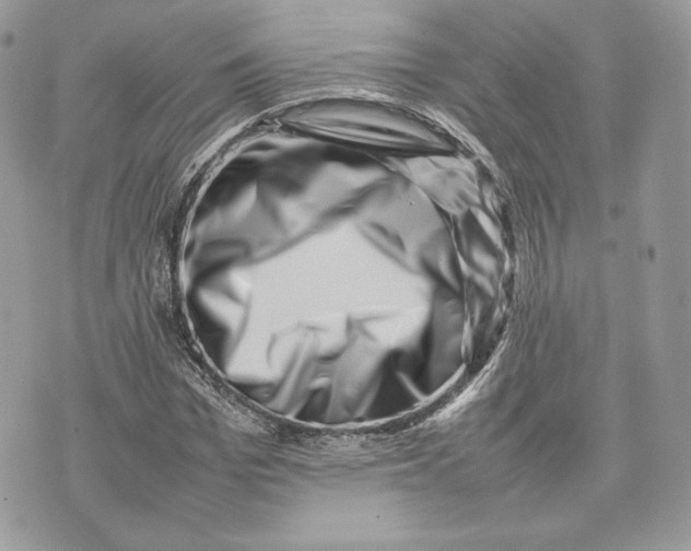 X0000075360969200609291457