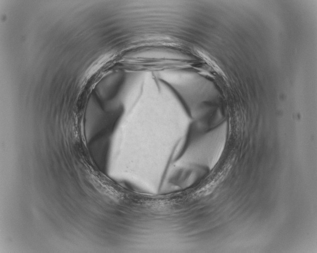 X0000075360970200609291457