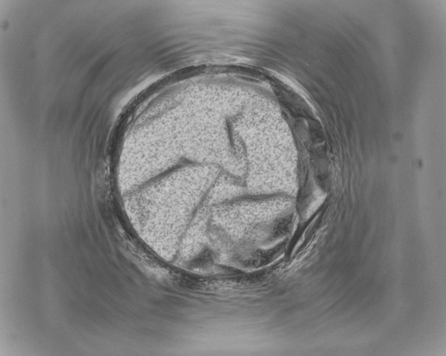 X0000075360971200609291457