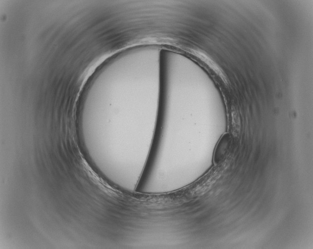 X0000075360972200609291457