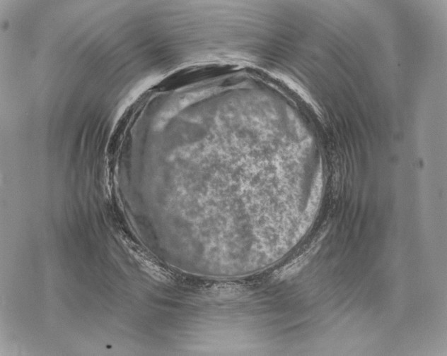 X0000075360974200609291457