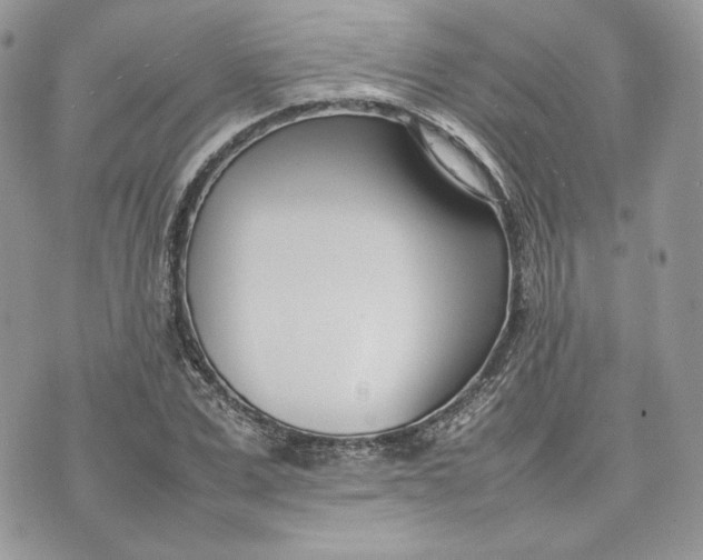 X0000075360975200609291456