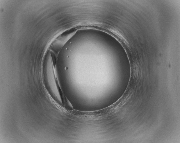 X0000075360976200609291456