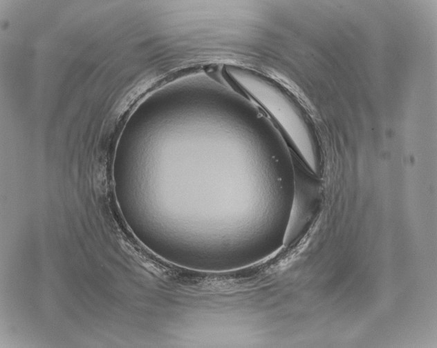 X0000075360977200609291456