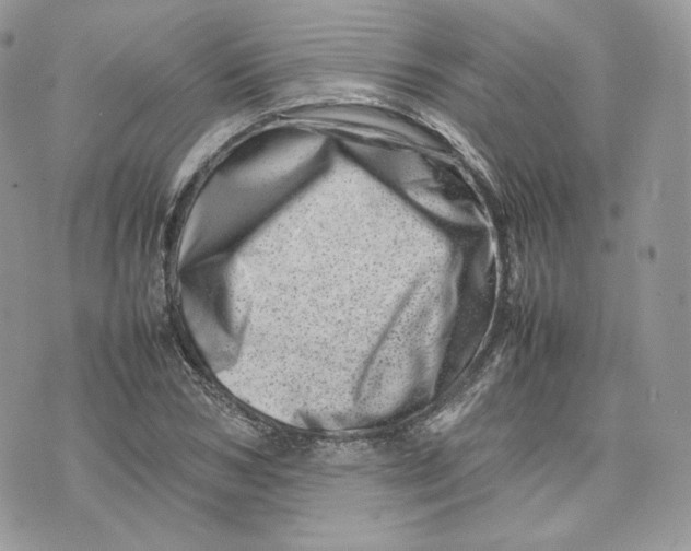 X0000075360978200609291456