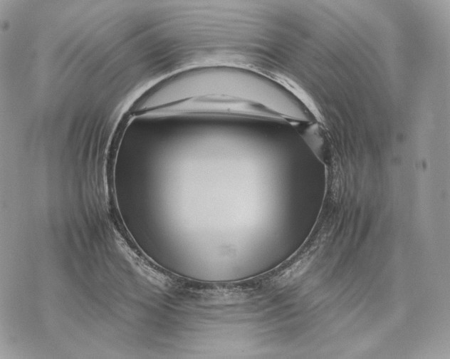 X0000075360980200609291456