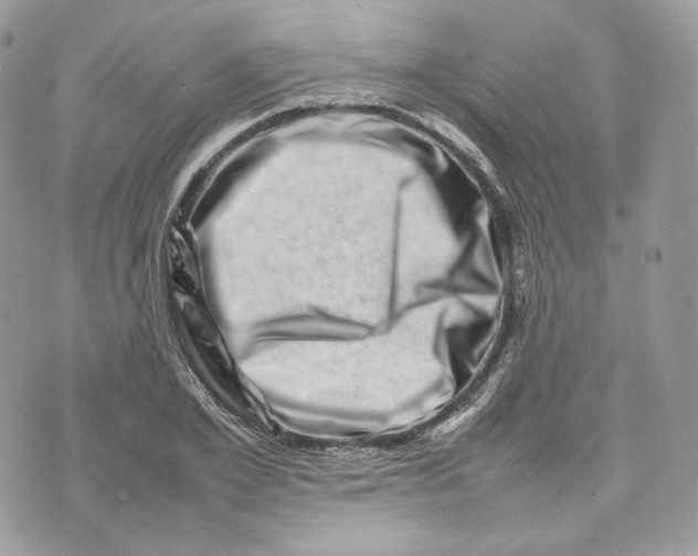 X0000075360981200609291456