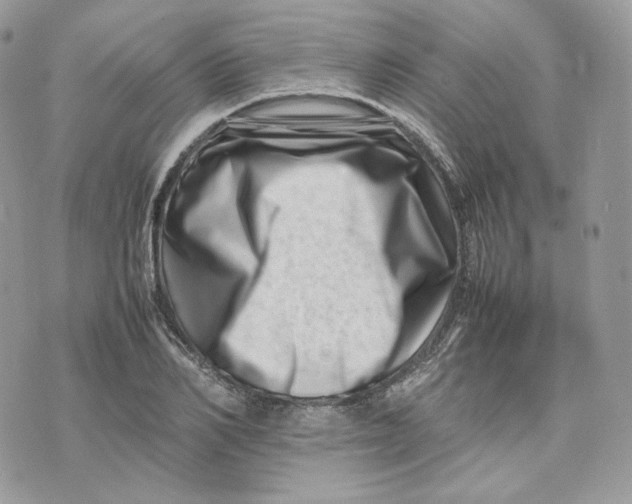 X0000075360982200609291456