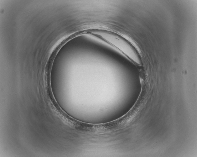 X0000075360983200609291456