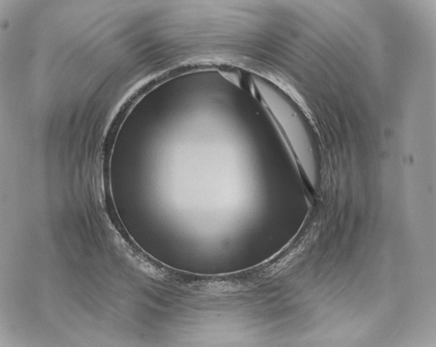 X0000075360984200609291456