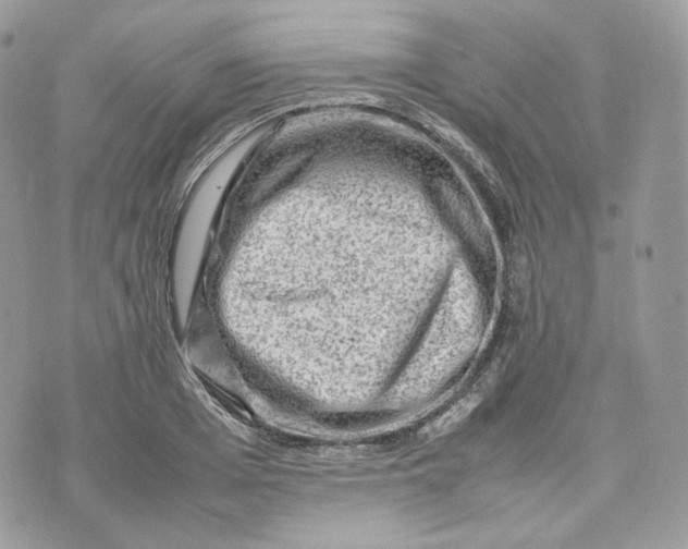 X0000075360985200609291456