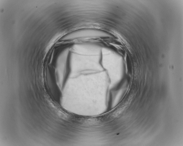 X0000075360986200609291456