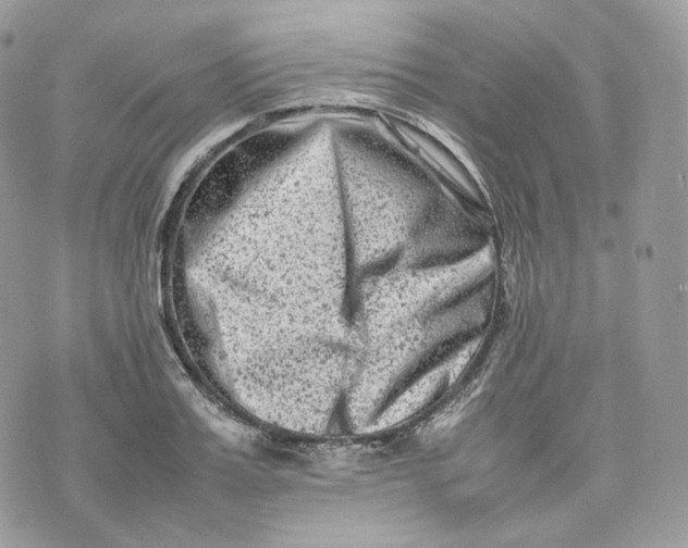 X0000075360987200609291456